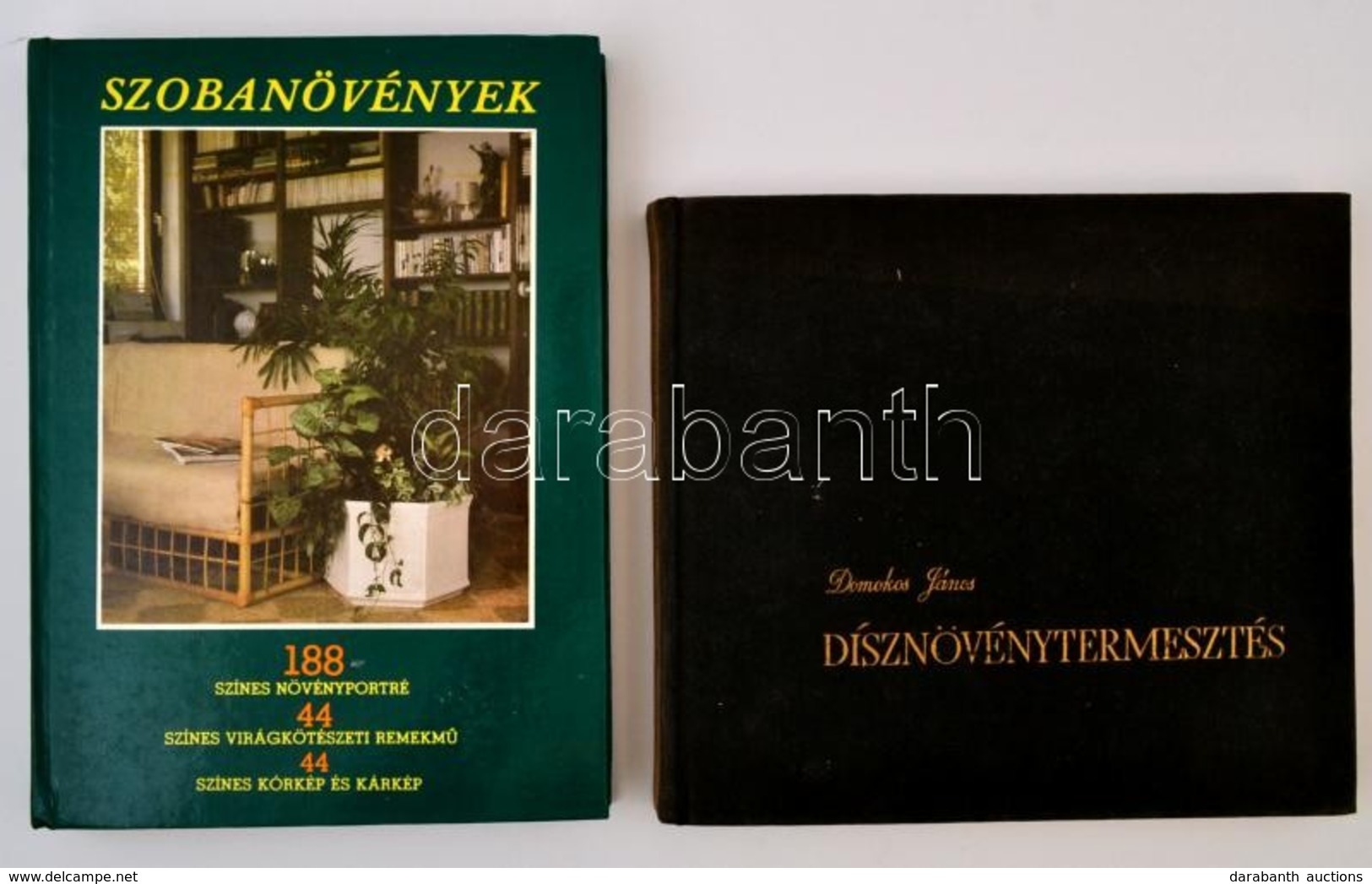 Domokos János: Dísznövénytermesztés. Bp., 1961, Mezőgazdasági Kiadó. Kiadói Egészvászon-kötés.+
Szobanövények. Szerk.: L - Unclassified