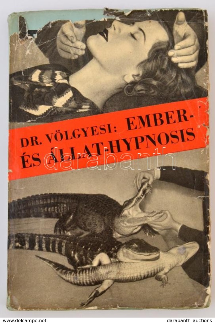 Dr. Völgyesi Ferenc: Ember- és állat-hypnosis. (Tekintettel Az Agy Phylo- és Ontogenesisére.) Lélek és Természettudomány - Ohne Zuordnung