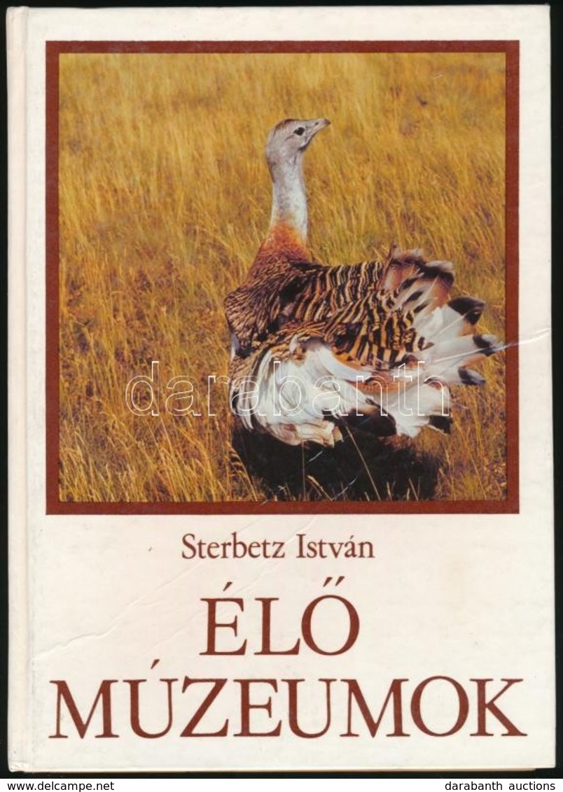 Sterbetz István: Élő Múzeumok. Bp.,1980, Natura. Kiadói Kartonált Papírkötés. - Unclassified