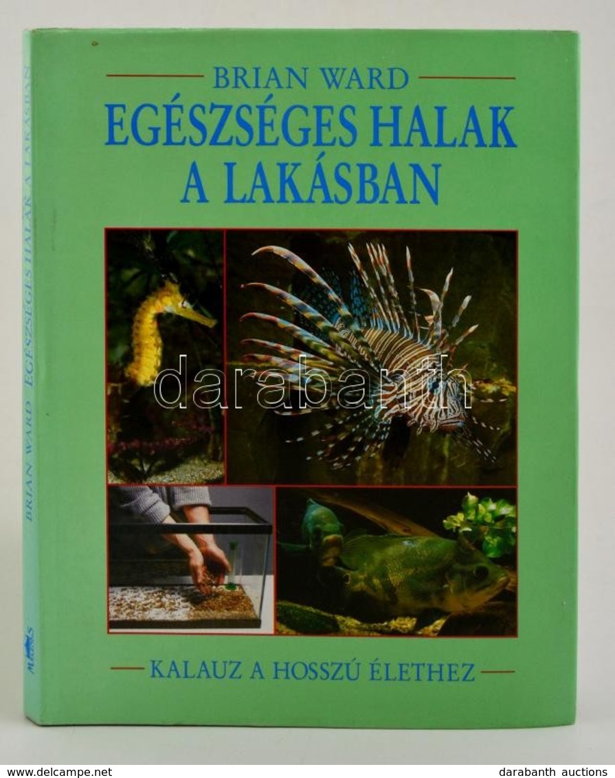 Brian Ward: Egészséges Halak A Lakásban. Bp., 1993. Maecenas. - Non Classés