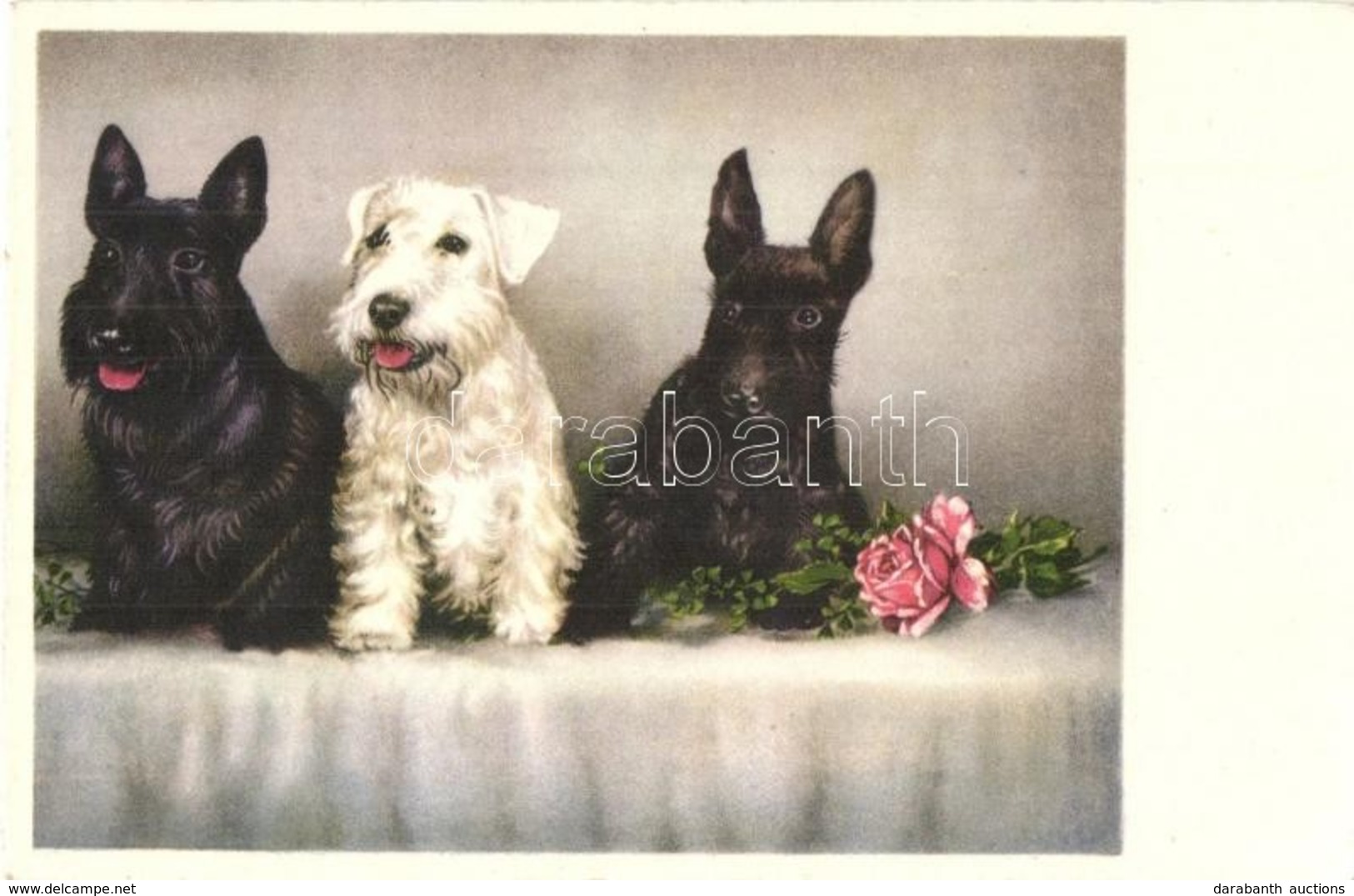 ** 3 Db RÉGI Kutya Motívumlap / 3 Pre-1945 Dog Motive Postcards - Zonder Classificatie