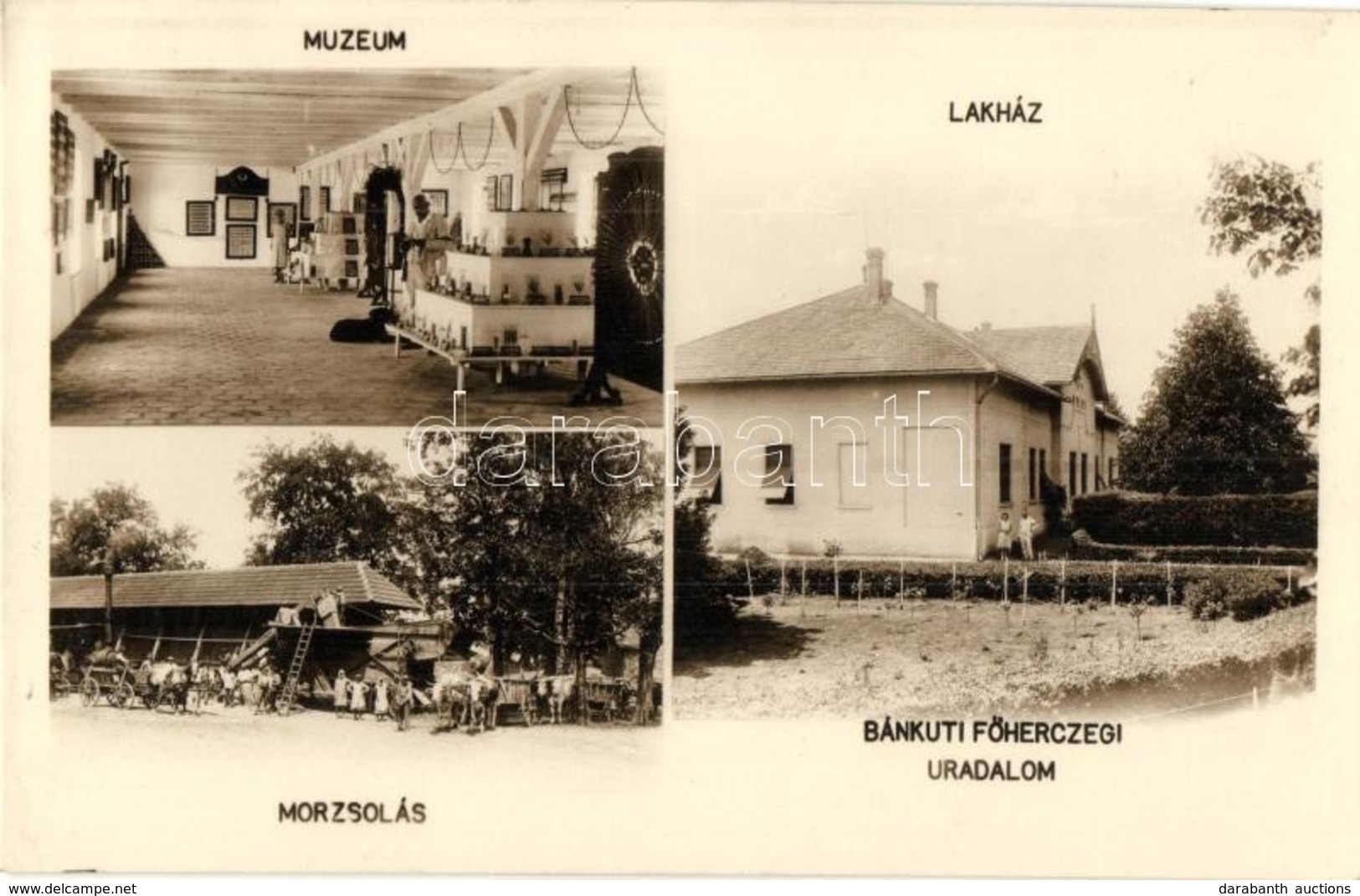 T2 1935 Bánkút (Medgyesegyháza), Bánkúti Főhercegi Uradalom, Baross László (a 'bánkúti Búza Atyja') József Főherceg Urad - Non Classés