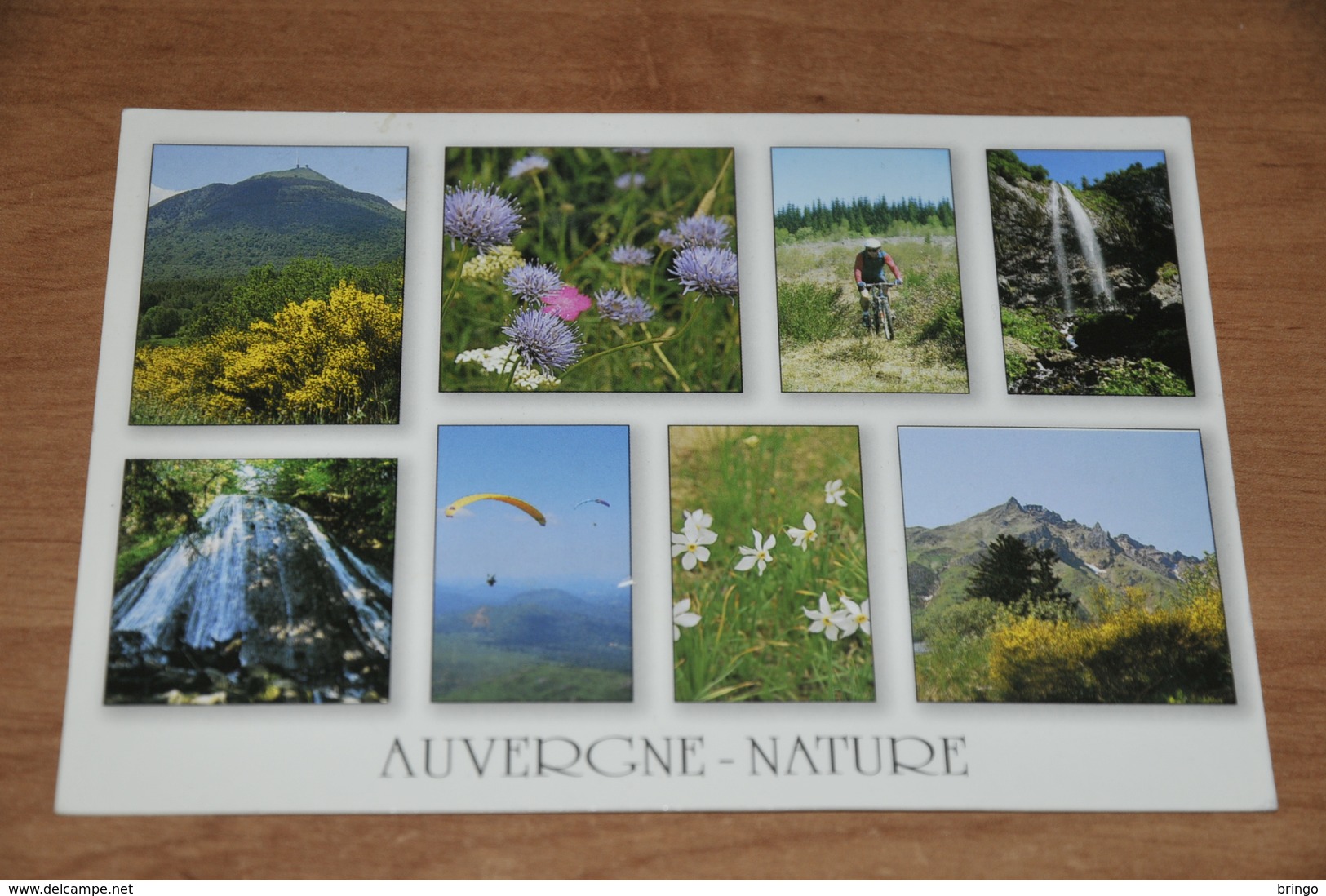 8028-   AUVERGNE NATURE - Auvergne