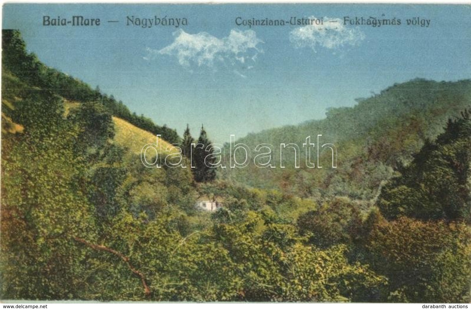 T2/T3 1907 Nagybánya, Baia-Mare; Fokhagymás Völgy, Rosenstein Könyvkereskedés Kiadása / Valley (EK) - Unclassified