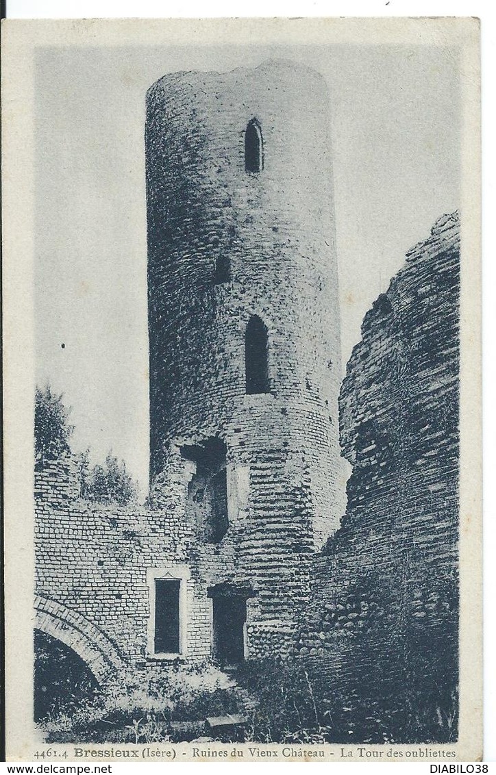 BRESSIEUX  (     ISÈRE   )       RUINES DU VIEUX CHÂTEAU . ...LA TOUR DES OUBLIETTES - Bressieux