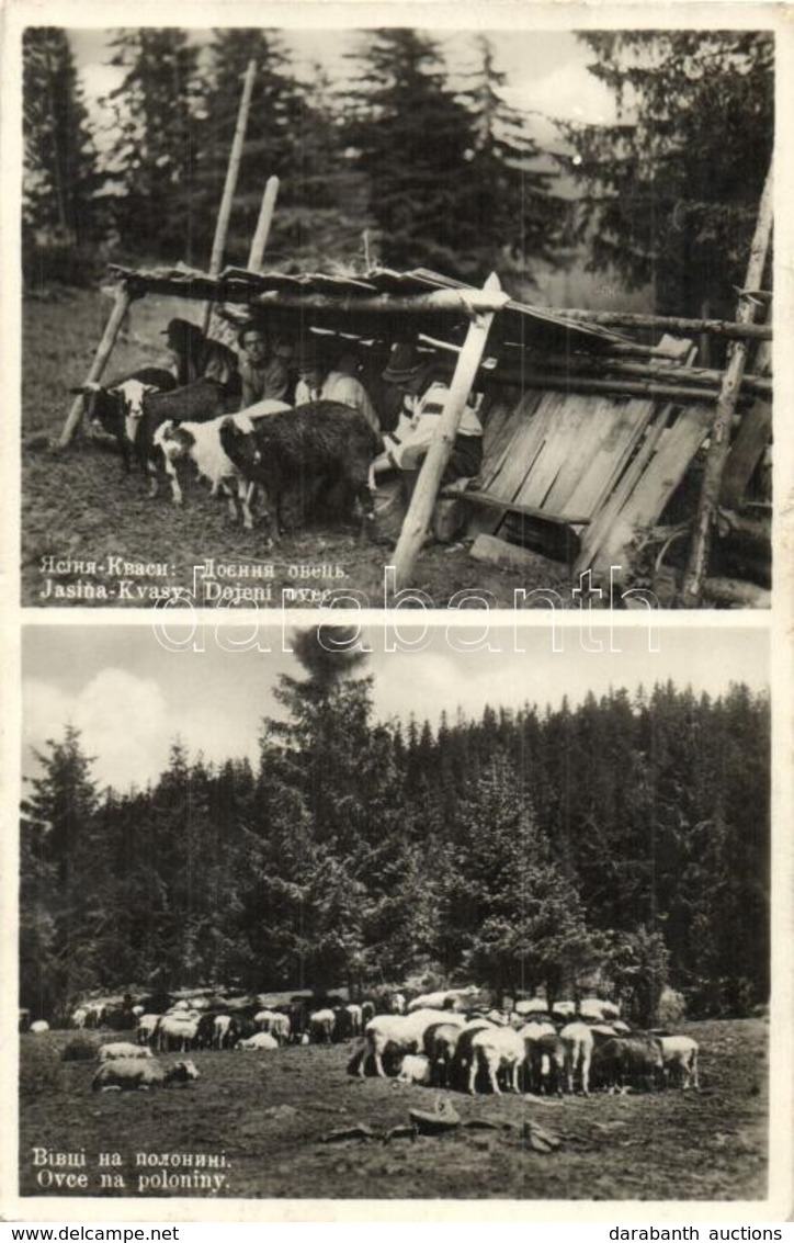 T2 Kőrösmező, Yasinia, Jassinja; Dojeni Ovec, Ovce Na Poloniny / Birka Tartás / Sheeps, Folklore - Zonder Classificatie