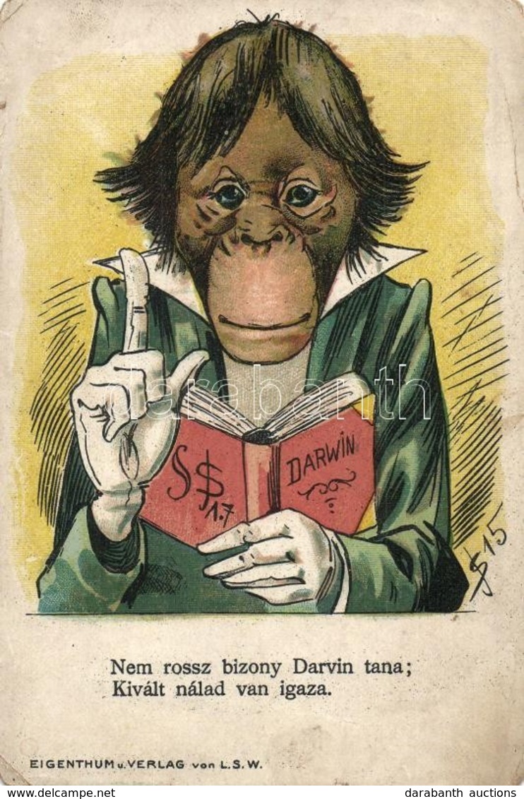 ** T3 Darwin. Nem Rossz Bizony Darvin Tana; Kivált Nálad Van Igaza. Humoros Lap Majommal / Darwin's Doctrines. Monkey, H - Unclassified