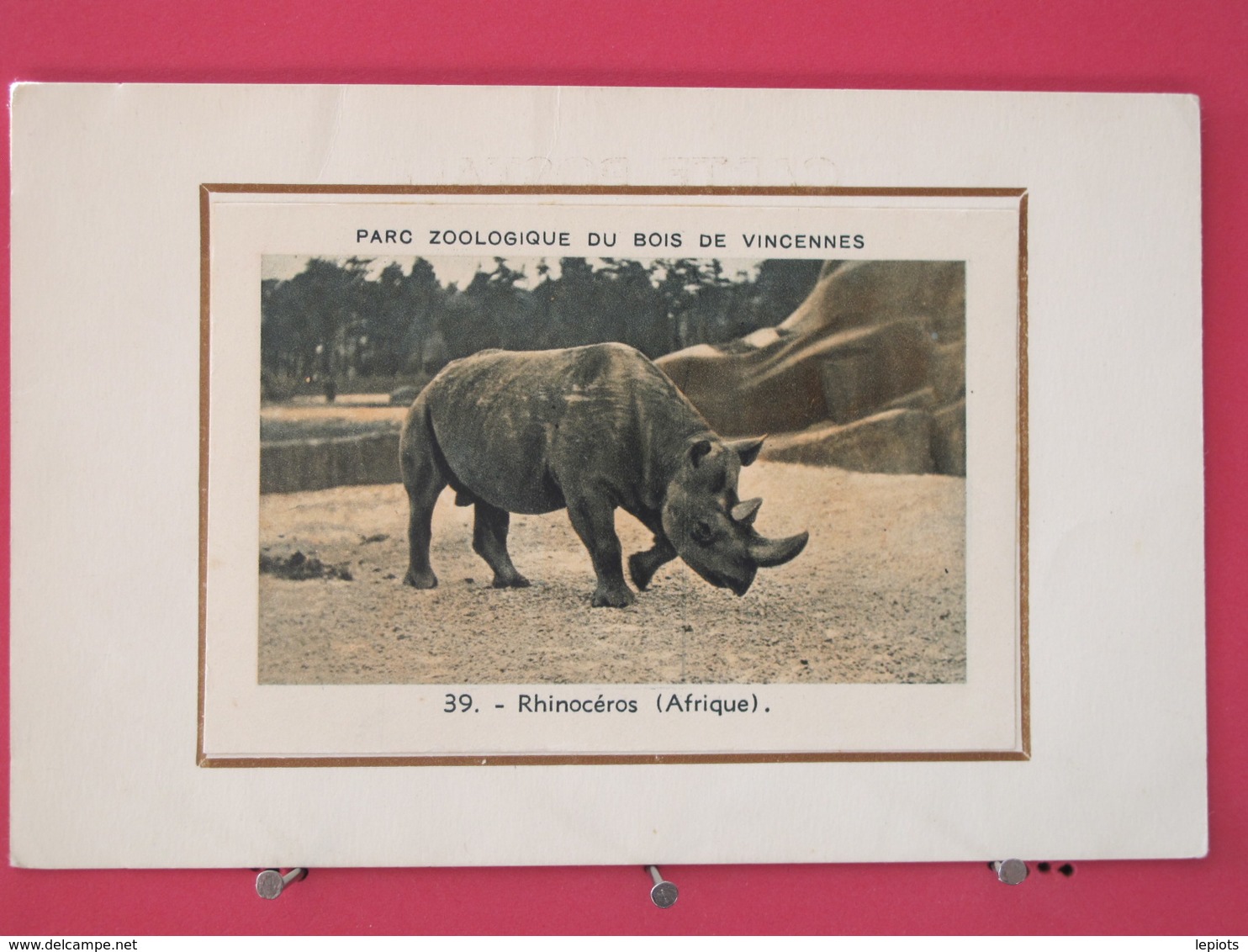 Visuel Très Peu Courant - 75 - Paris - Parc Zoologique Du Bois De Vincennes - Rhinocéros - Recto-verso - Arrondissement: 12