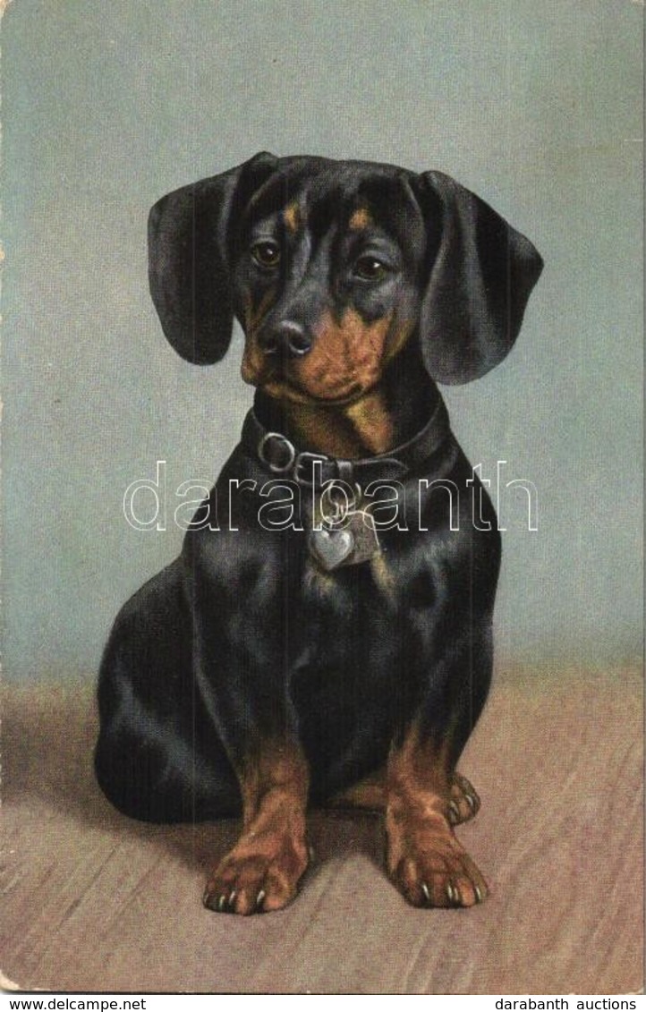 T2 1912 Dachshund Dog. Marge Egemes Serie 103. - Unclassified