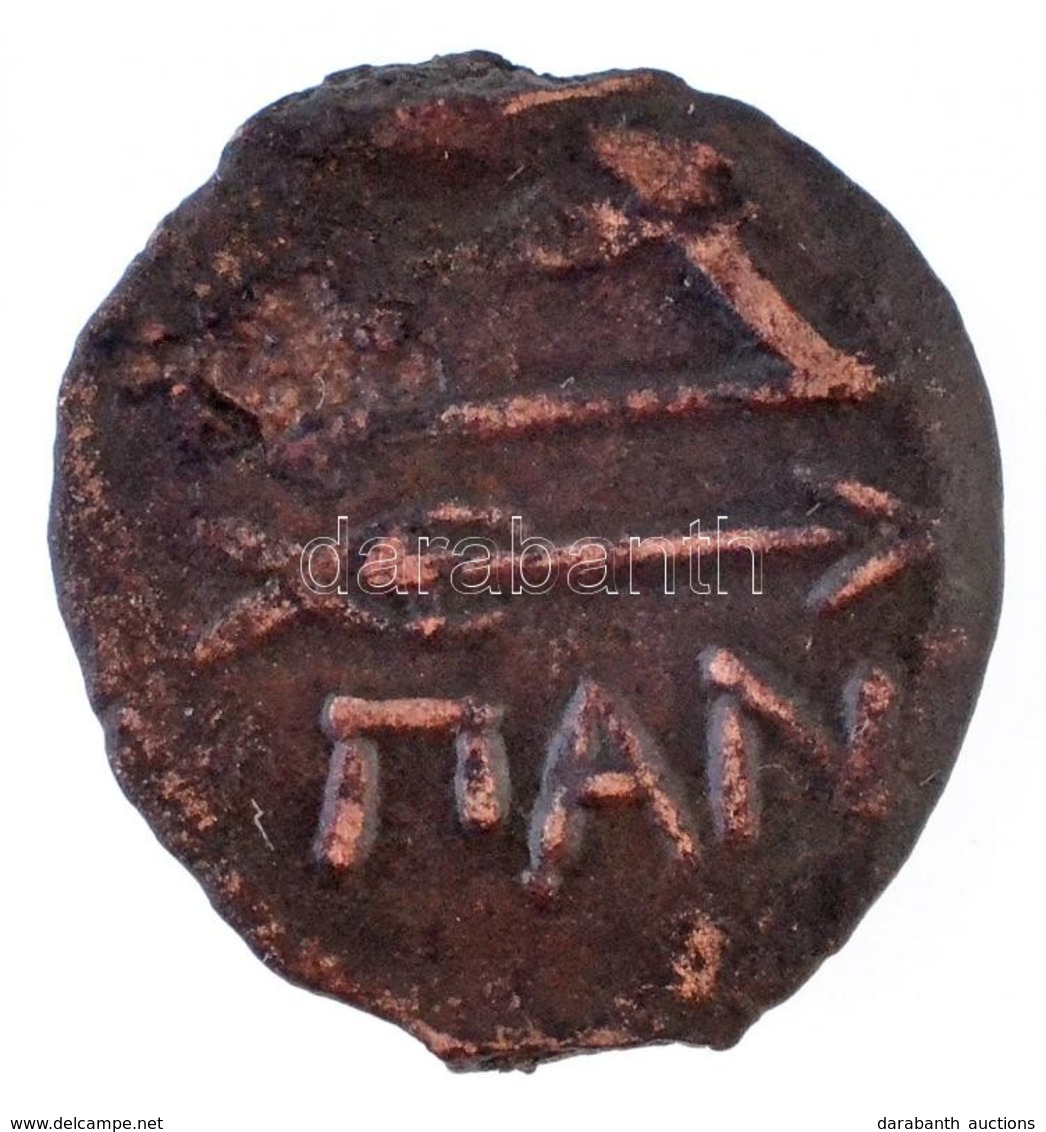 Boszporosz Kr. E. ~IV-III. Század Bronzpénz (2,46g) T:3
Bosporos ~4th-3rd Century BC Bronze Coin (2,46g) C:F - Zonder Classificatie