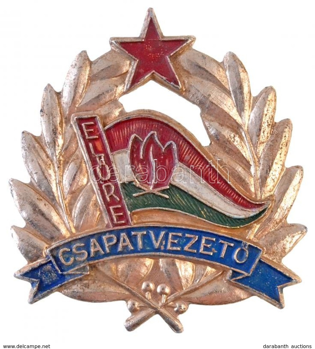 ~1960-1970. 'Úttörő Csapatvezető' Festett Fém Jelvény (43x48mm) T:2 - Unclassified