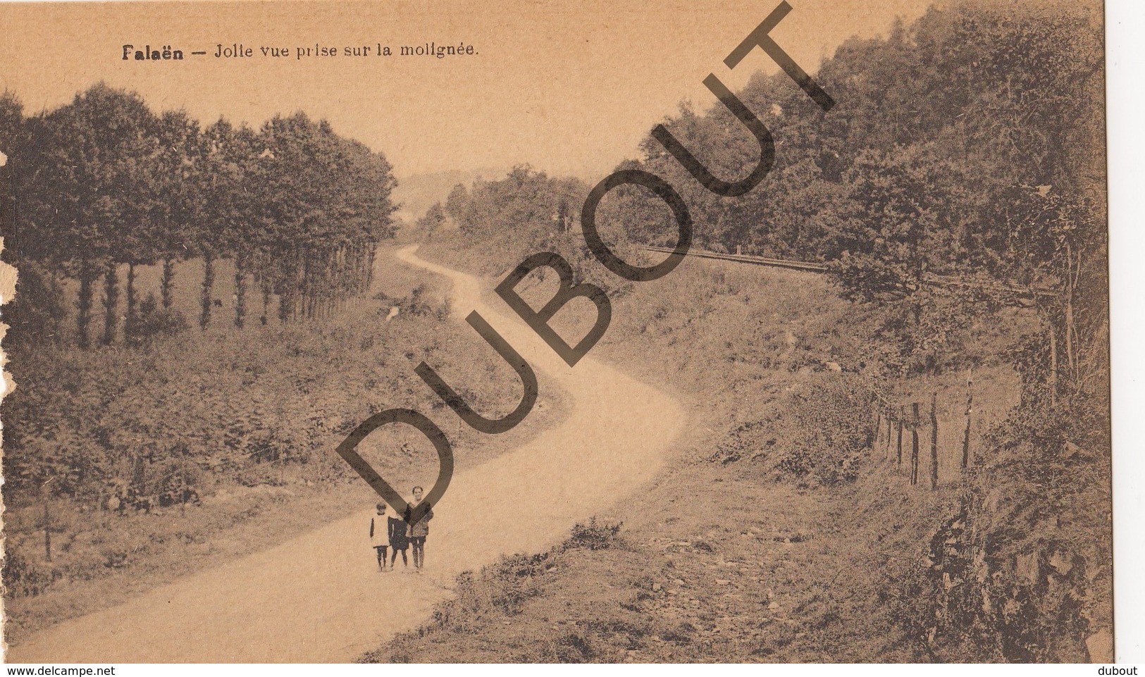 Postkaart/Carte Postale FALAEN Jolie Vue Prise Sur La Molignée (O340) - Onhaye