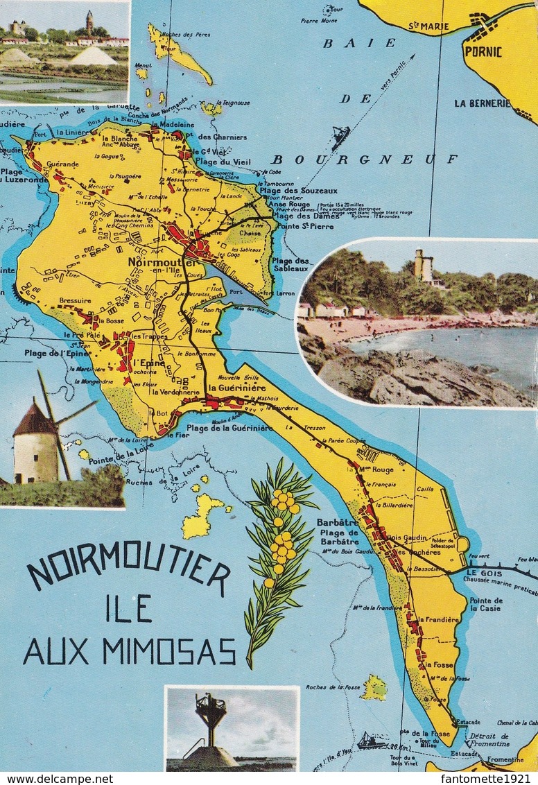 ILE DE NOIRMOUTIER (dil347) - Ile De Noirmoutier