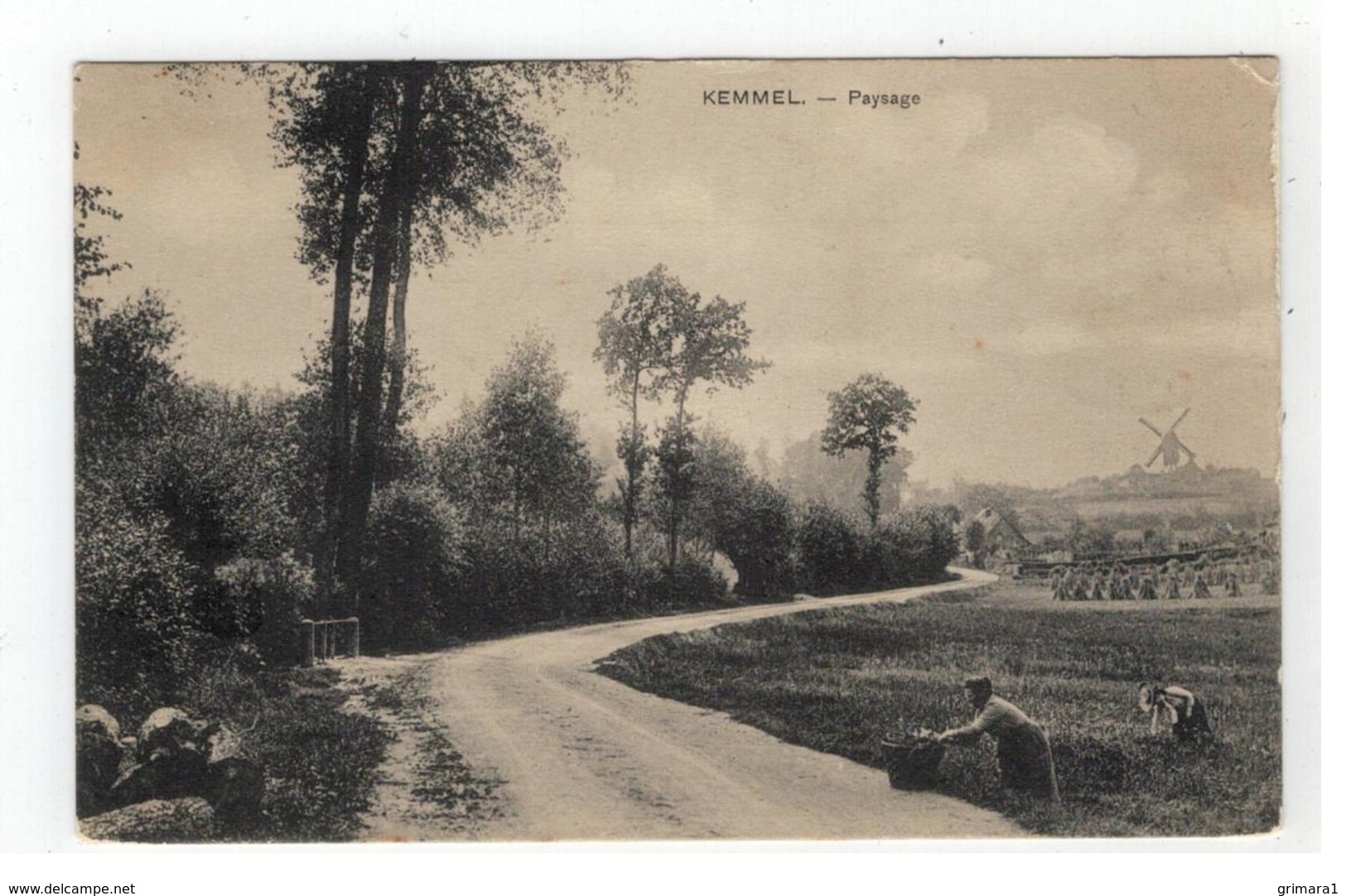 KEMMEL  -  Paysage (met Molen) - Heuvelland