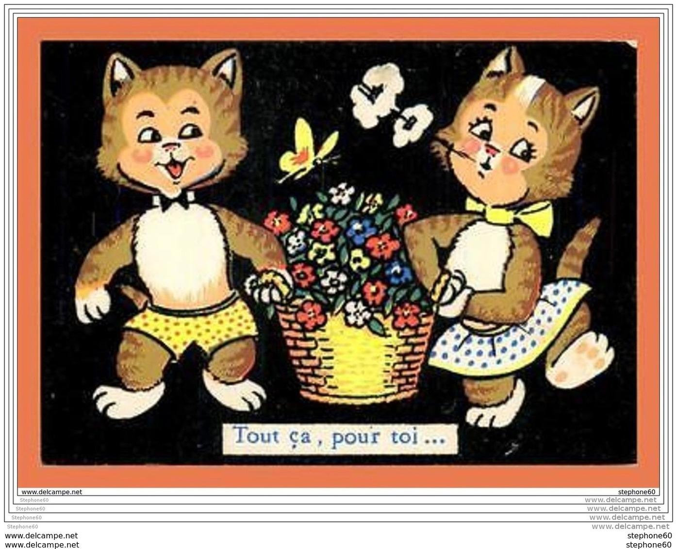 A596 / 157  Chat Carte Type Velour - Sonstige & Ohne Zuordnung