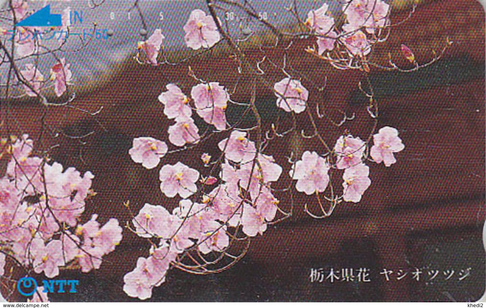 Télécarte Japon / NTT 250-089 - Arbre Fleuri / Fleur Gros Plan TBE - Tree Blossom Japan Phonecard - Blüte TK - Fleurs
