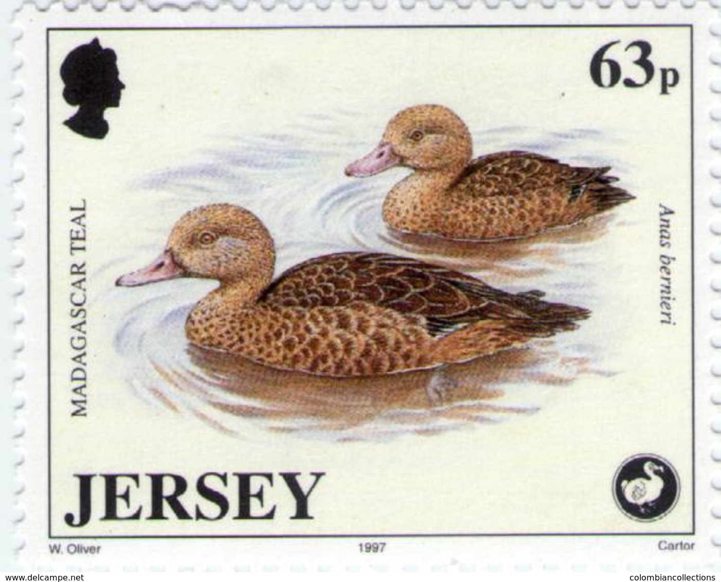 Lote J2, Jersey, 1997, Sello, Stamp, 5 V, Wildlife Preservation, Bird, Frog, Pigmy Hog - Jersey