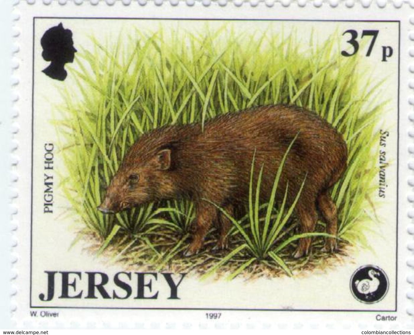 Lote J2, Jersey, 1997, Sello, Stamp, 5 V, Wildlife Preservation, Bird, Frog, Pigmy Hog - Jersey