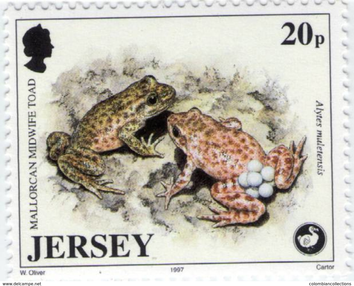 Lote J2, Jersey, 1997, Sello, Stamp, 5 V, Wildlife Preservation, Bird, Frog, Pigmy Hog - Jersey