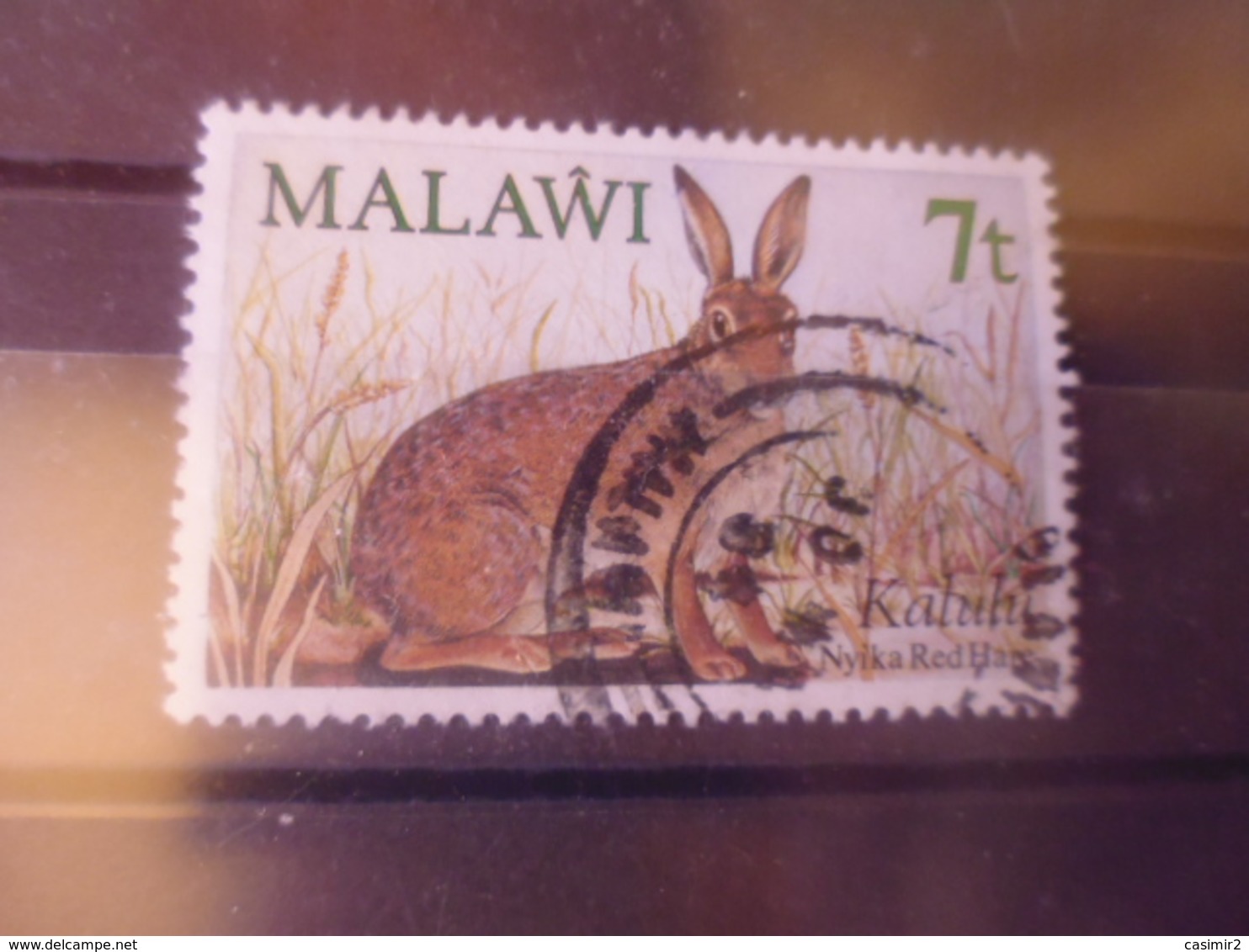 MALAWI YVERT N° 428 - Malawi (1964-...)