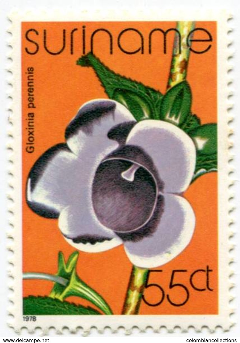 Lote S1, Suriname, 1978, Sello, Stamp, 5 V, Orquidea, Orchid, Flower - Surinam