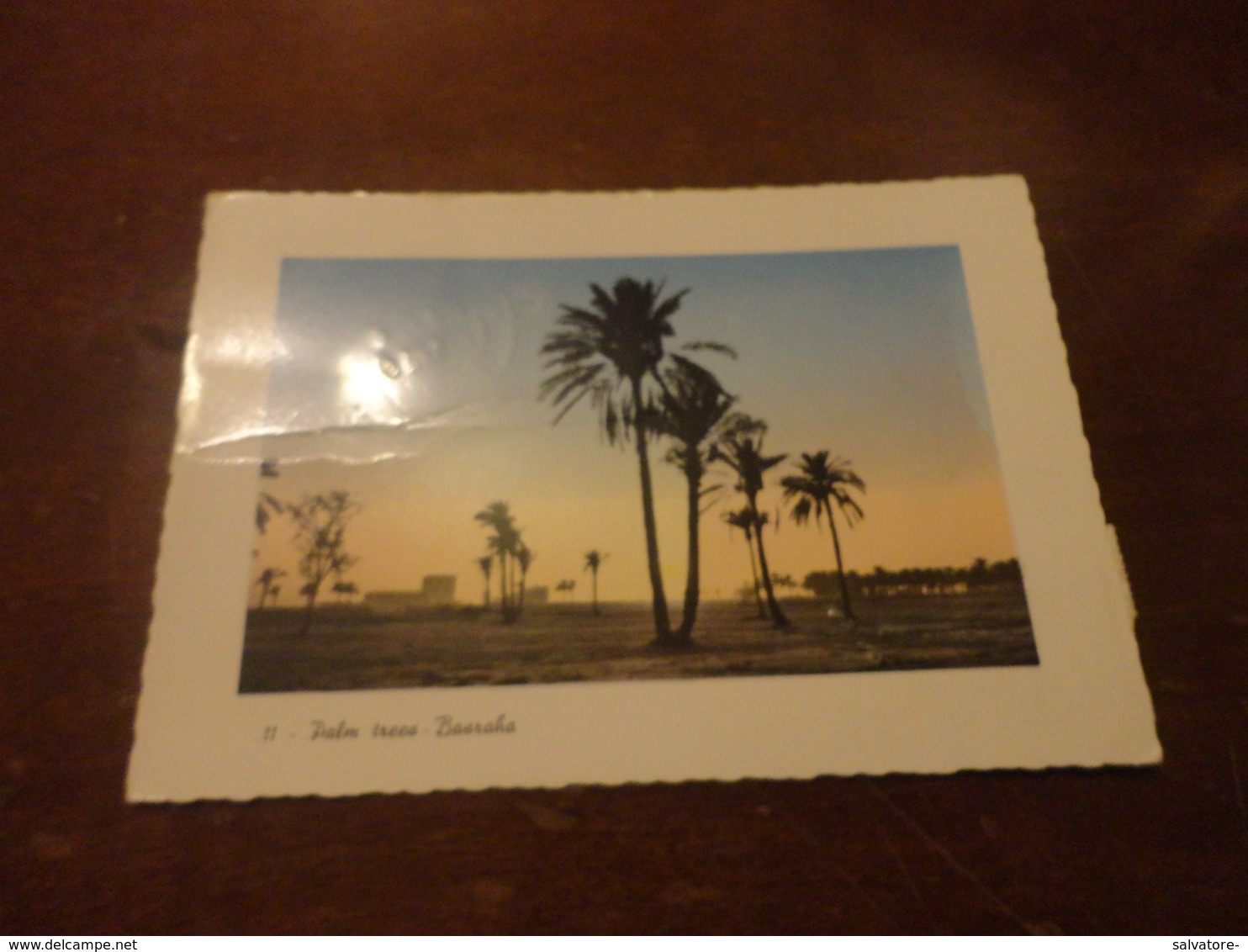 CARTOLINA PALM TREES - BASRAHA VIAGGIATA CON 30 FILS + 5 FILS PER PALERMO - Iraq