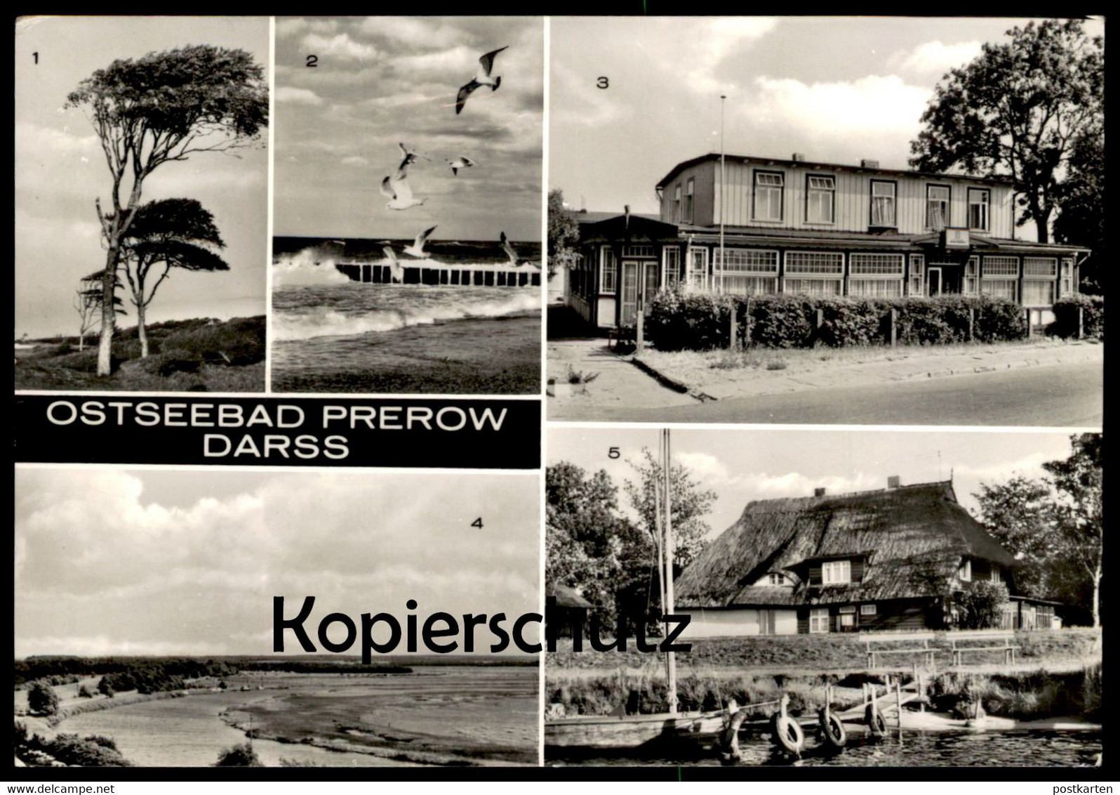 ÄLTERE POSTKARTE GRUSS AUS DEM OSTSEEBAD PREROW DARSS ESPERORT FDGB ERHOLUNGSHEIM KRABBENORT PREROWSTROM Ansichtskarte - Seebad Prerow