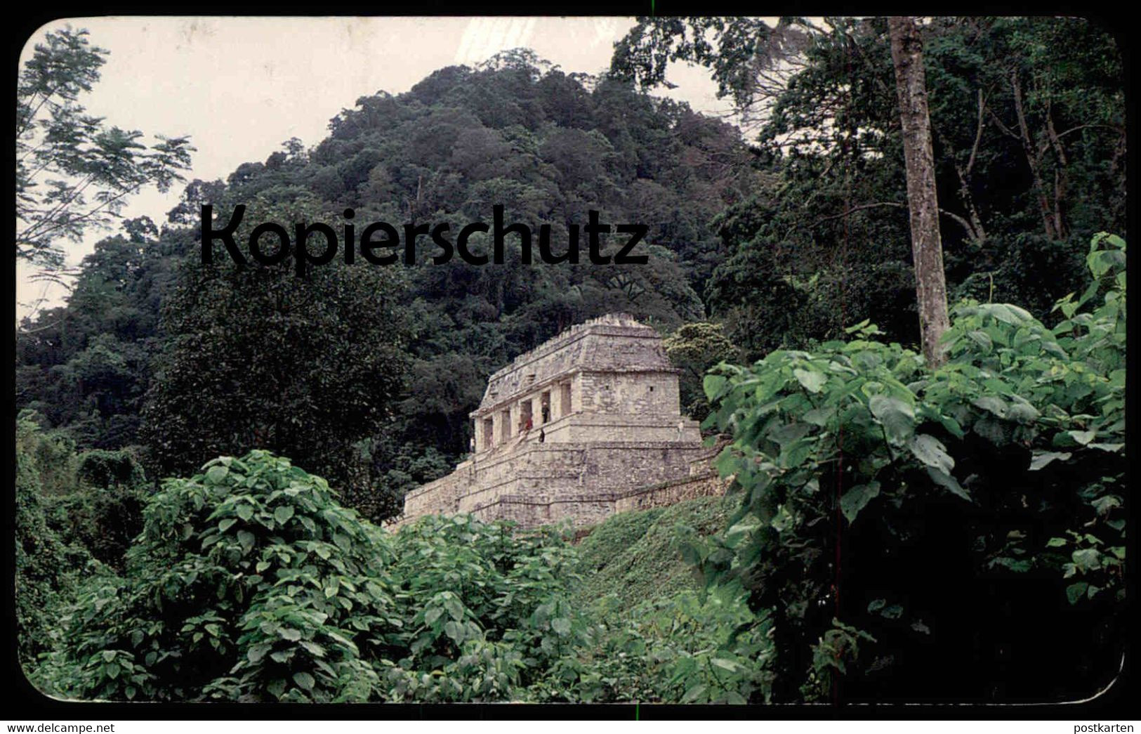 ÄLTERE POSTKARTE SELVA PALENCANA CON RUINAS MEXICO MEXIQUE SELVA PALENQUE TEMPLO DE LAS INSCRIPCIONES CHIAPAS Postcard - Mexique