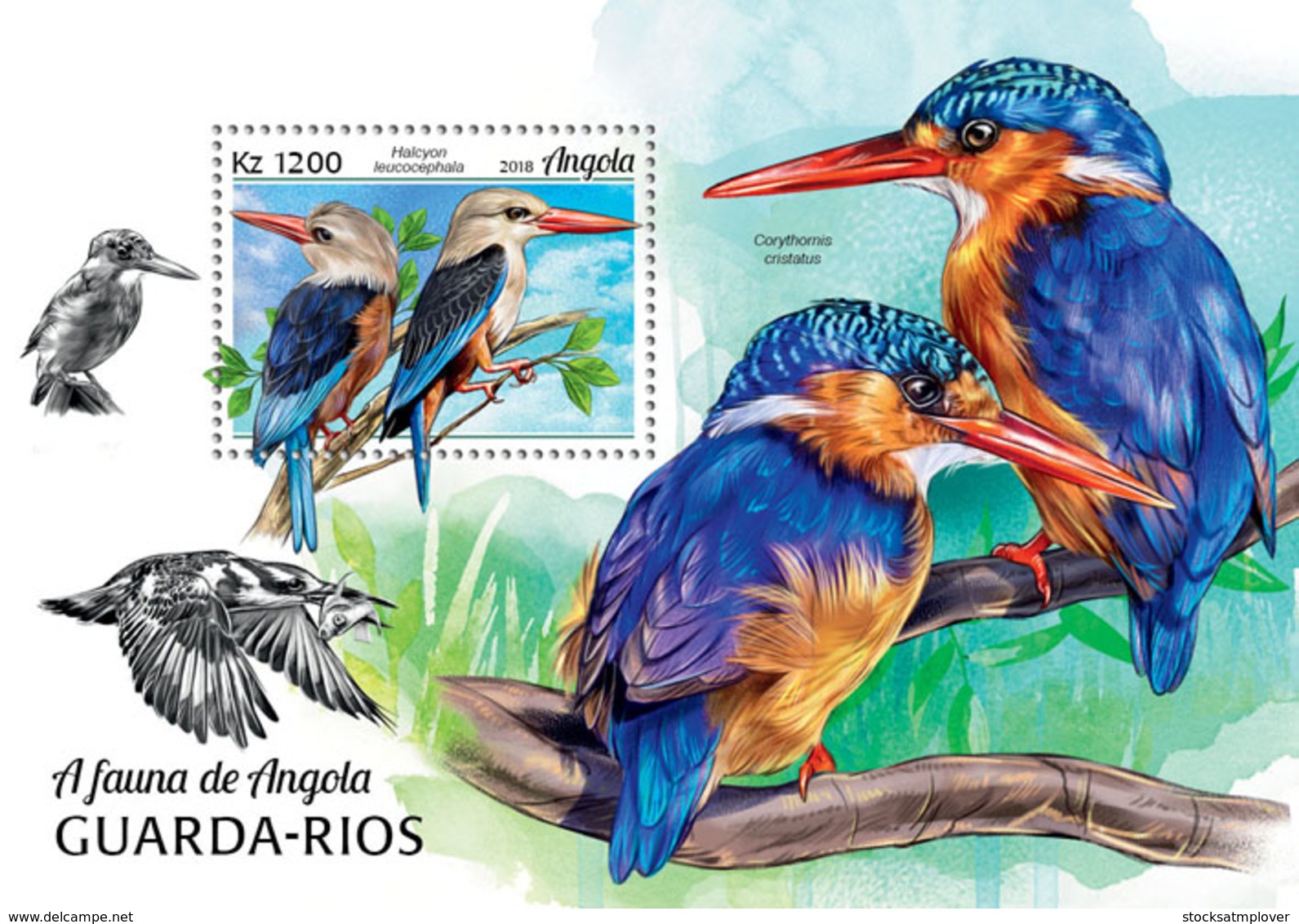 Angola  2018  Fauna   Kingfishers  S201901 - Angola