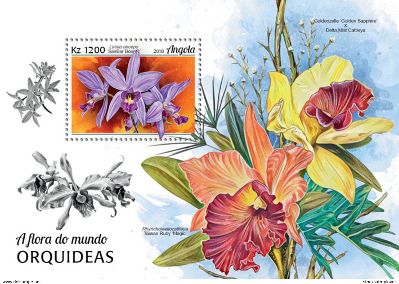 Angola  2018  Flower  Orchids  S201901 - Angola