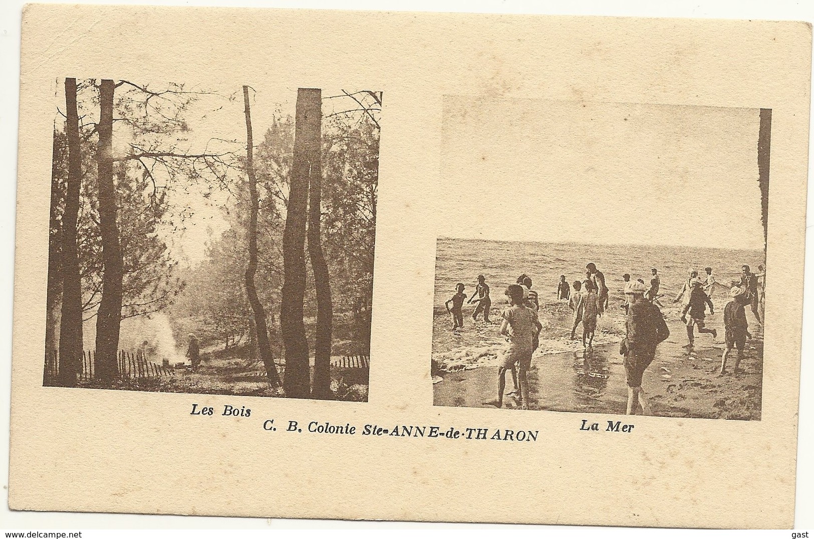 44  THARON   COLONIE  STE  ANNE  DE  THARON    LES  BOIS  ---  LA  MER - Tharon-Plage