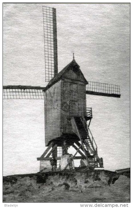 ALVERINGEM (W.Vl.) - Molen/moulin - Zeer Zeldzame Close-up Van De Verdwenen Breewegmolen Of Molen Dehaese Ca. 1916 - Alveringem