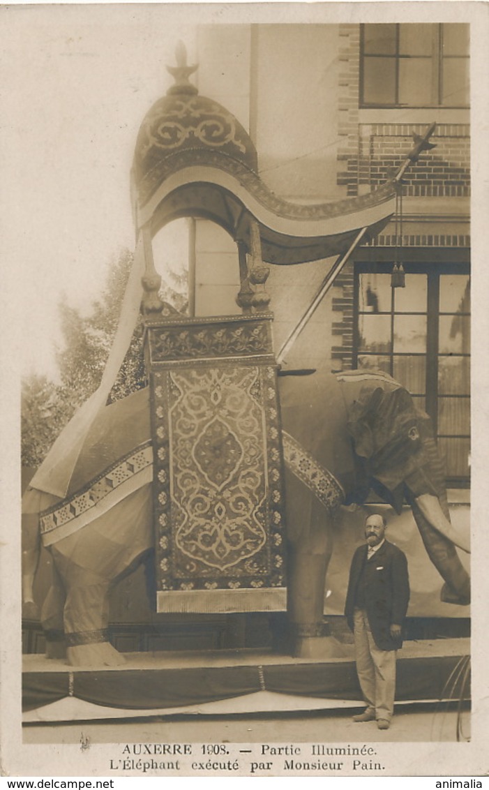 Decor Elephant Exécuté Par Mr Pain à Auxerre En 1908 Royal Elephant - Olifanten