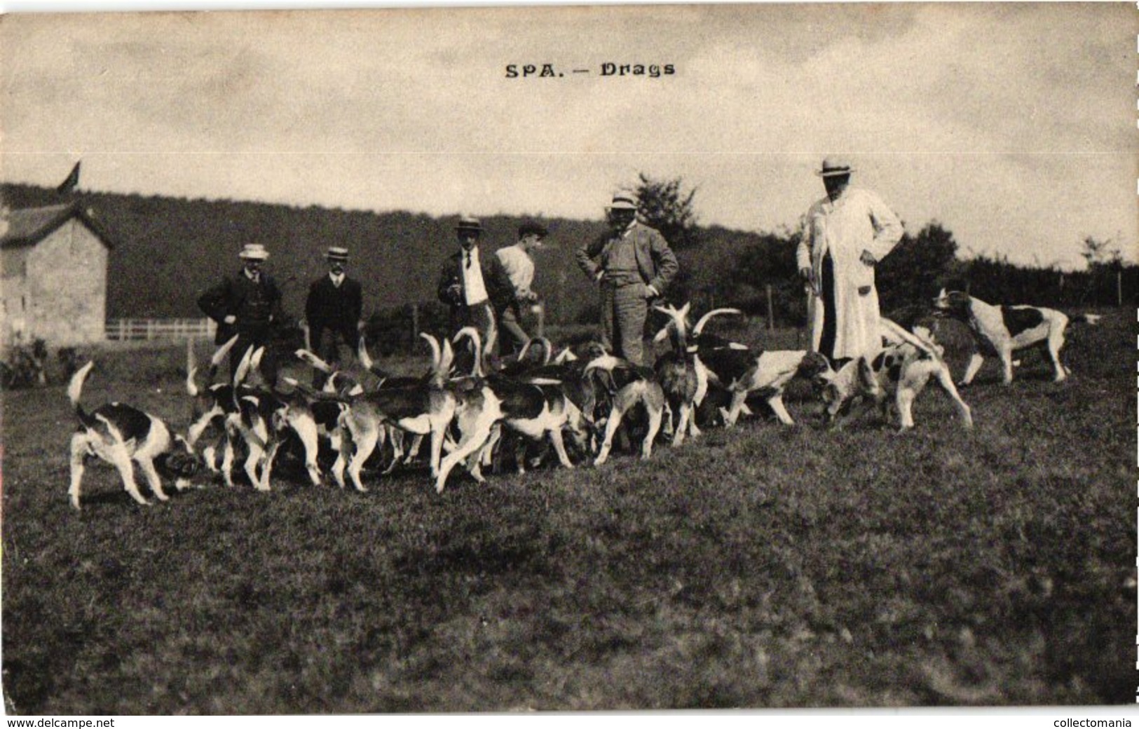 36 Postkaarten Chasse, Dogs, Dynastie, 4 Horses Chariots, C1900, Hund  Chien De Chasse DRAGS Chasse Jachtpartij Paarden - Politieke En Militaire Mannen