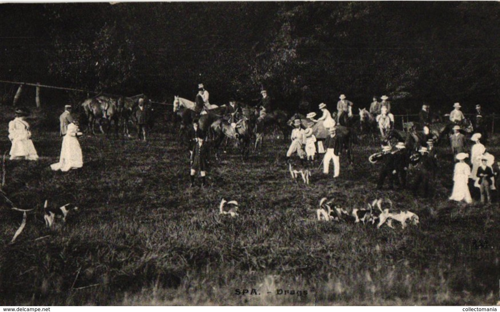 36 postkaarten chasse, dogs, dynastie, 4 horses chariots, c1900, hund  chien de chasse DRAGS chasse jachtpartij paarden