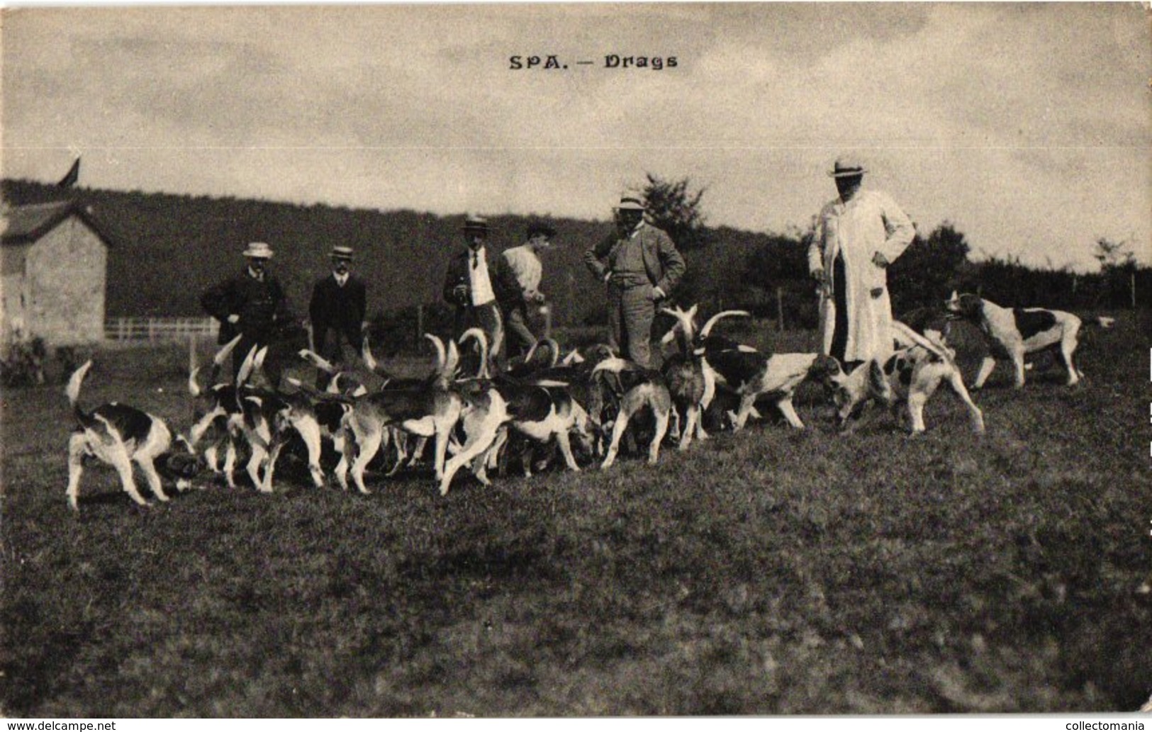 36 postkaarten chasse, dogs, dynastie, 4 horses chariots, c1900, hund  chien de chasse DRAGS chasse jachtpartij paarden