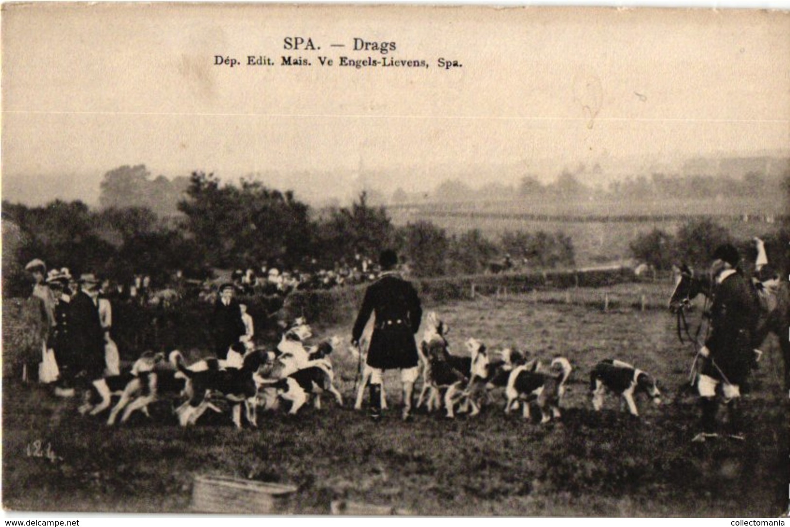 36 postkaarten chasse, dogs, dynastie, 4 horses chariots, c1900, hund  chien de chasse DRAGS chasse jachtpartij paarden