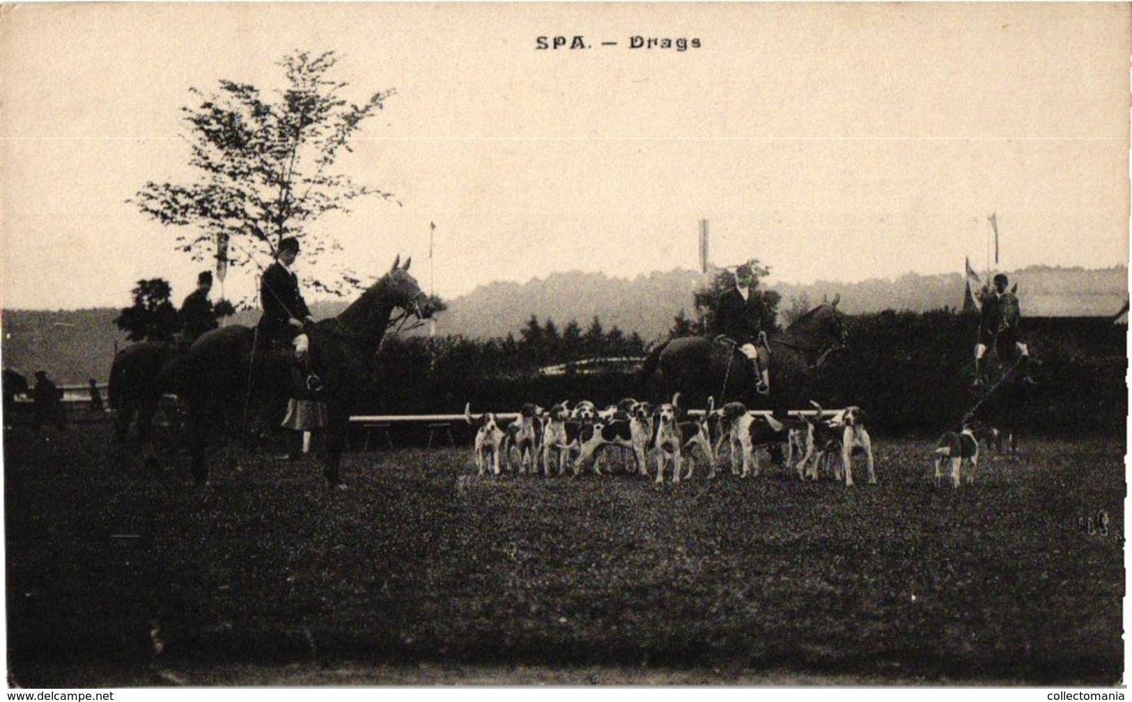 36 postkaarten chasse, dogs, dynastie, 4 horses chariots, c1900, hund  chien de chasse DRAGS chasse jachtpartij paarden