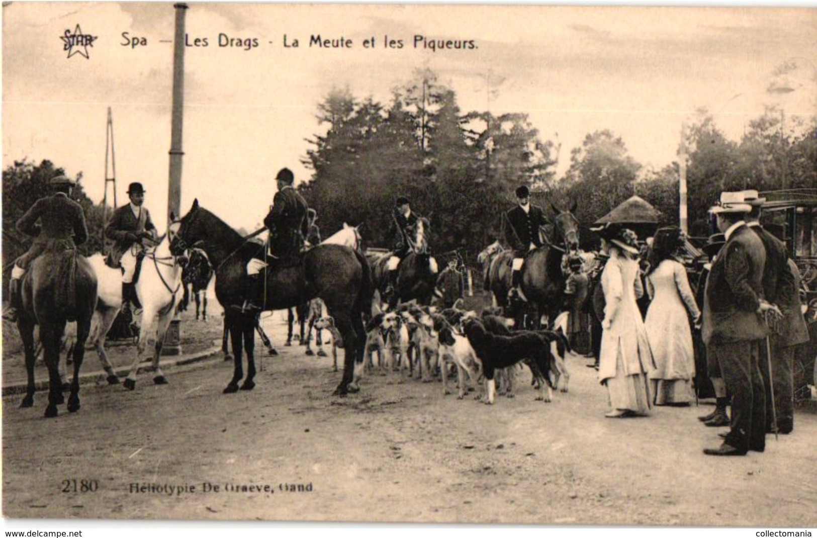 36 postkaarten chasse, dogs, dynastie, 4 horses chariots, c1900, hund  chien de chasse DRAGS chasse jachtpartij paarden