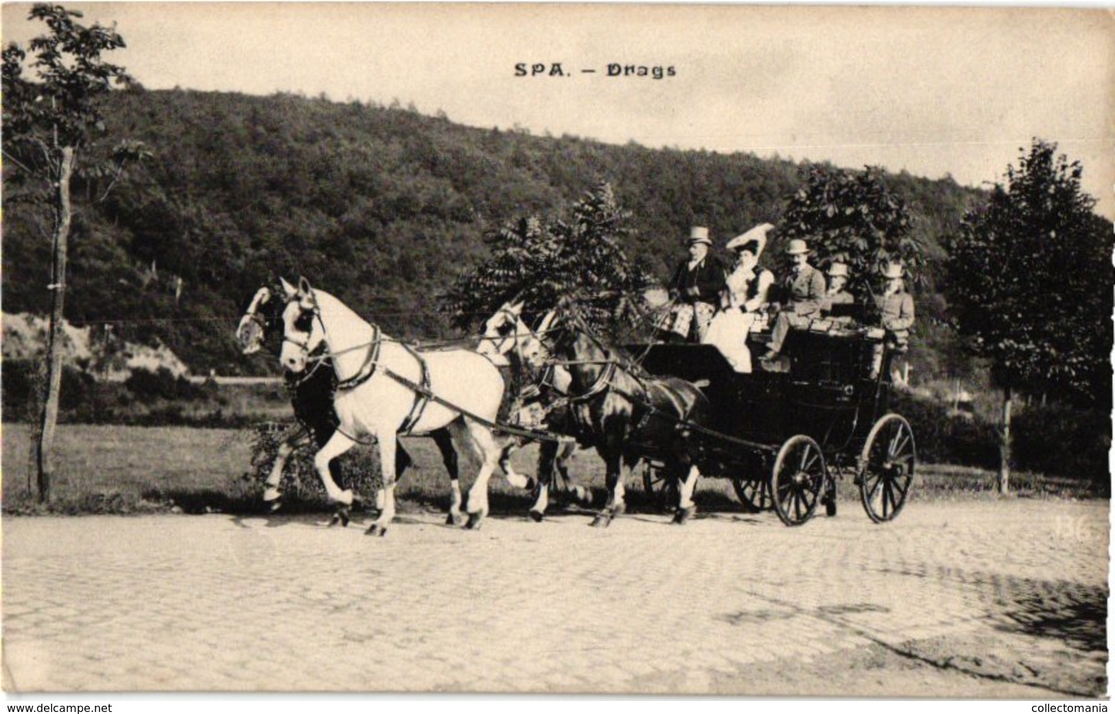 36 postkaarten chasse, dogs, dynastie, 4 horses chariots, c1900, hund  chien de chasse DRAGS chasse jachtpartij paarden