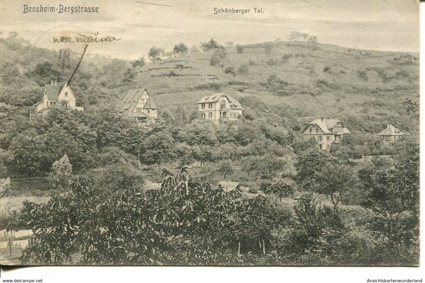 006674  Bensheim Bergstrasse - Schöneberger Tal  1907 - Bensheim