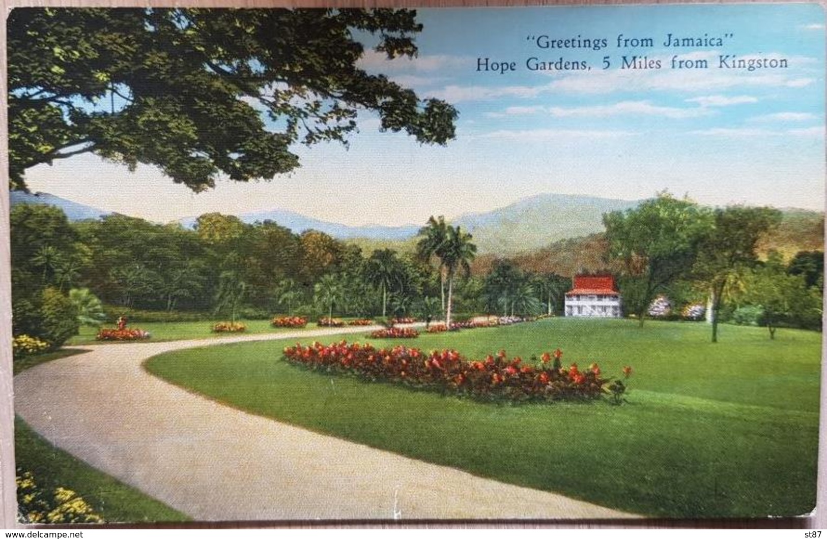 Jamaica Hope Garden - World