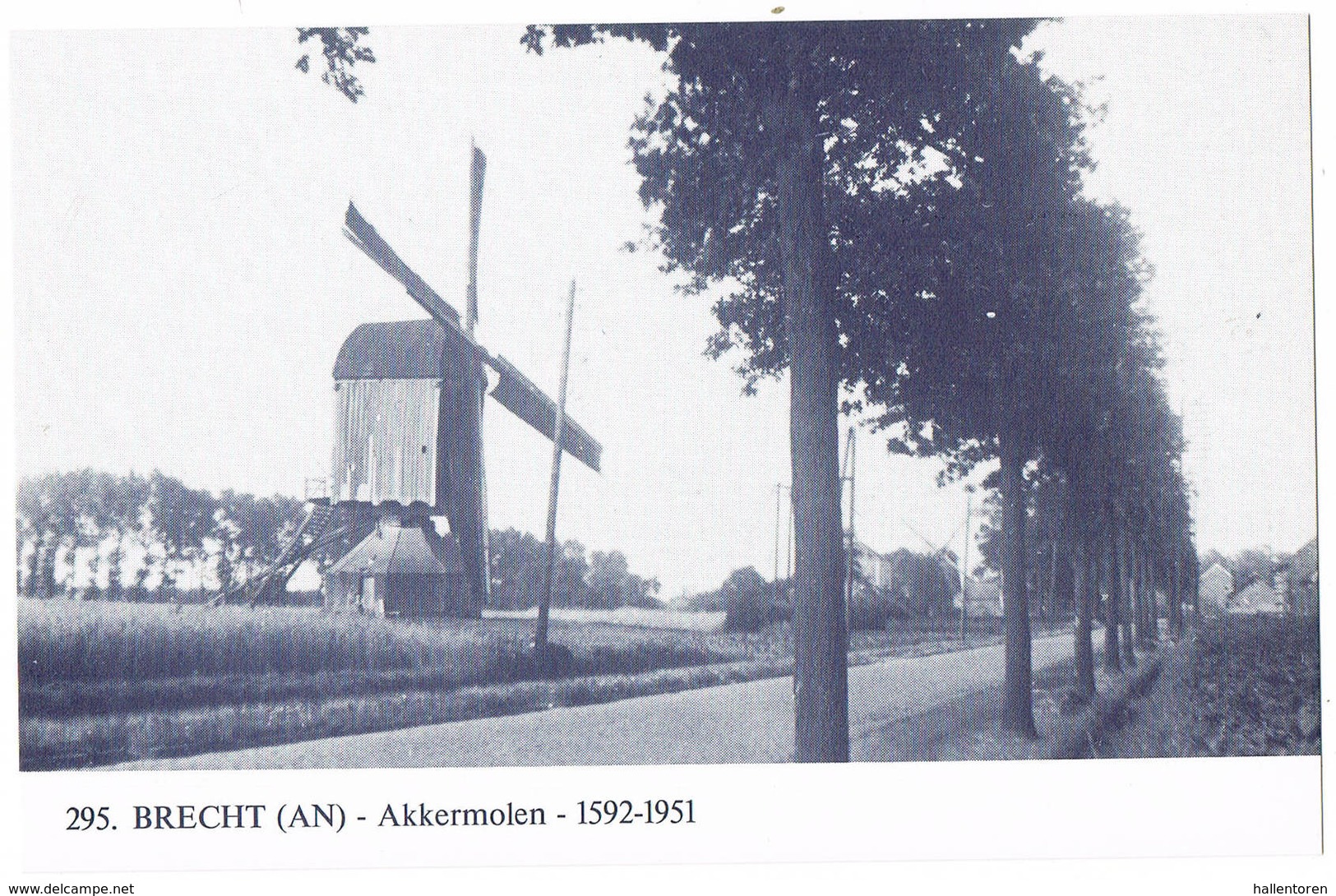 Brecht: Akkermolen ( 2 Scans) - Brecht