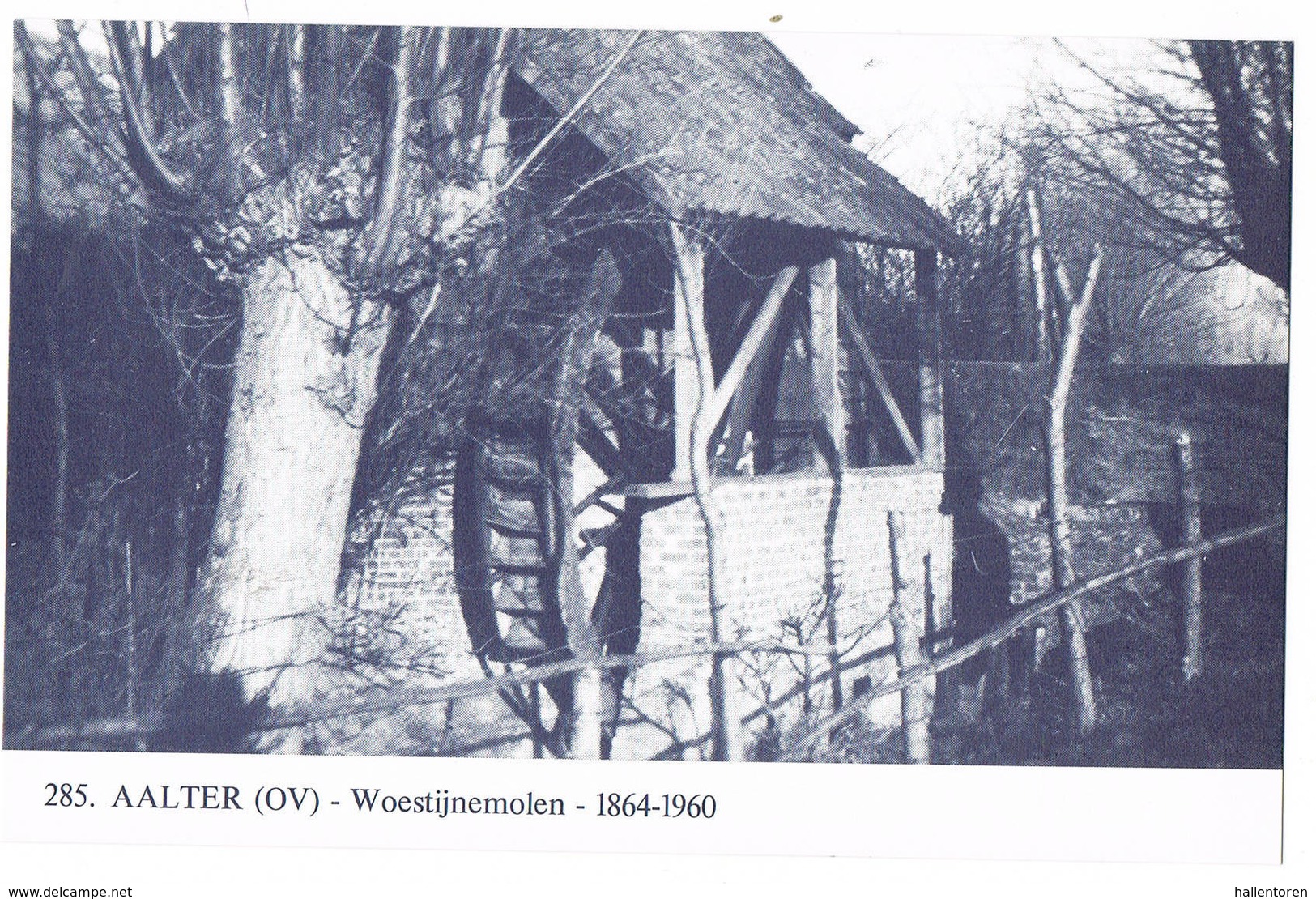 Aalter: Woestijnemolen ( 2 Scans) - Aalter