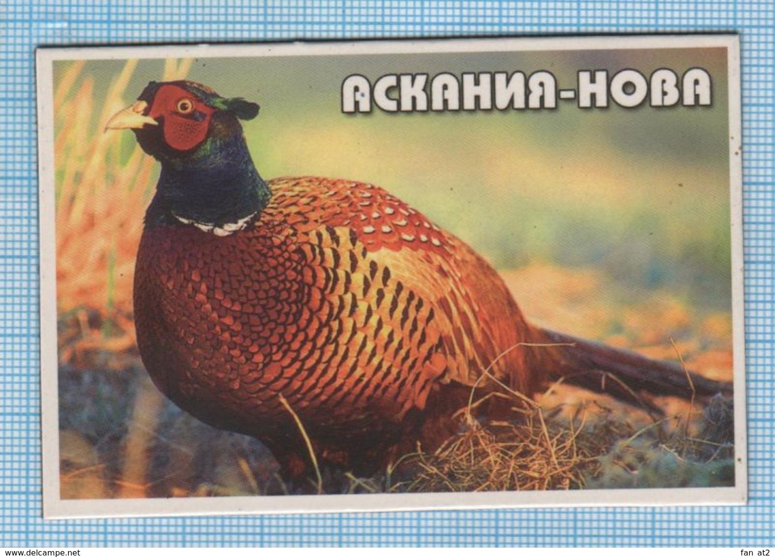 UKRAINE / Flexible Magnet / Fauna. Bird. Reserve Askania-Nova. - Animaux & Faune