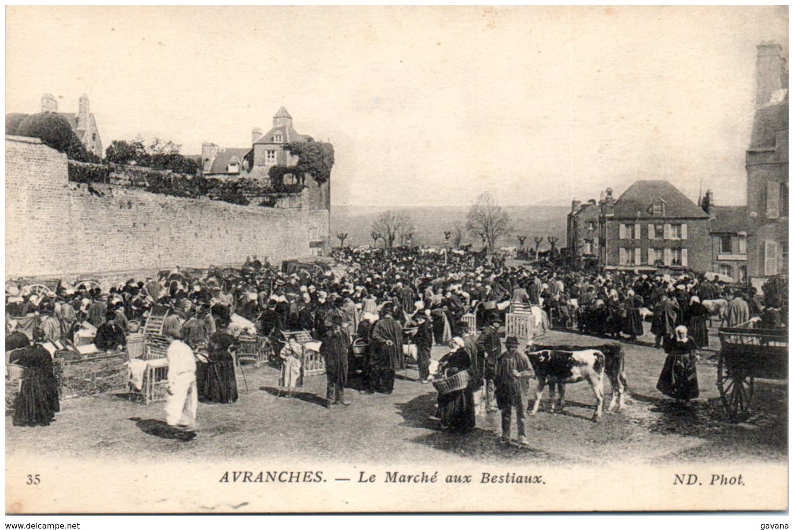 50 AVRANCHES - Le Marché Aux Bestiaux - Avranches