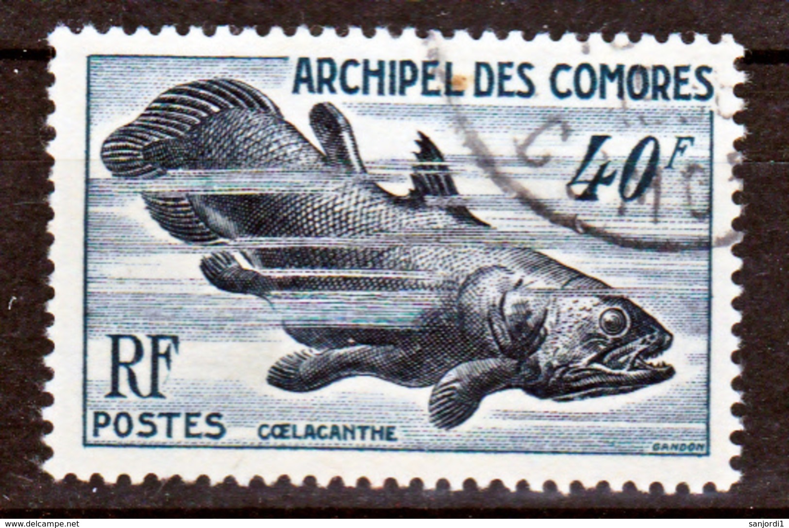 Comores  13 Coelacanthe  Oblitéré Used Cote 25 - Used Stamps