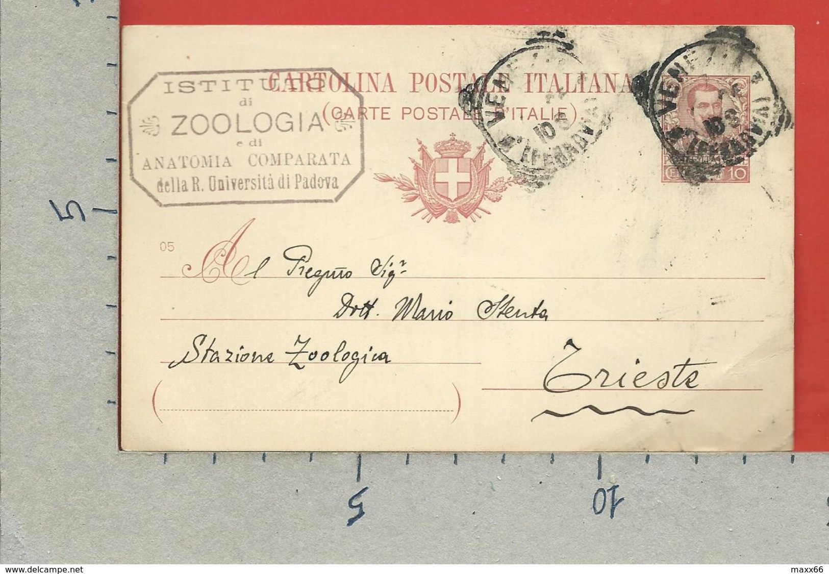 CARTOLINA POSTALE VG ITALIA - Tipo Floreale V. Emanuele III - MARIO STENTA Ist. ZOOLOGIA TRIESTE 1906 - S. CP30 MILL. 05 - Interi Postali