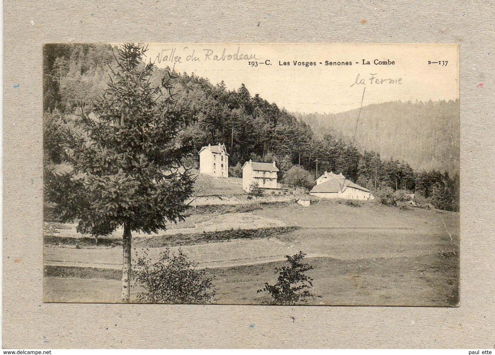 CPA - Environs De SENONES (88) - Aspect De La Ferme à La Combe Dans La Vallée Du Rabodeau Au Début Du Siècle - Senones