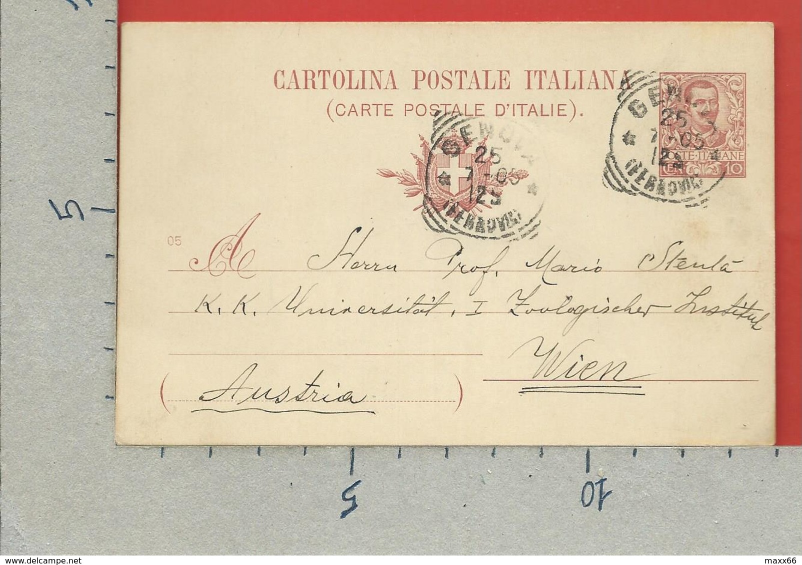 CARTOLINA POSTALE VG ITALIA - Tipo Floreale V. Emanuele III - MARIO STENTA 1905 - S. CP30 MILL. 05 - AUSTRIA - Entiers Postaux